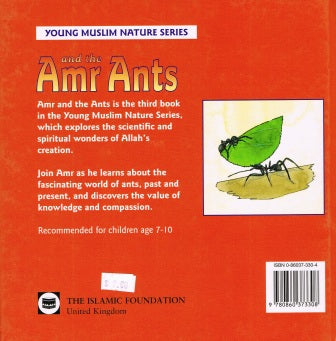 AND THE AMR ANTS