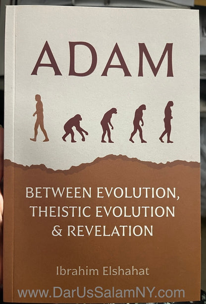 Adam between evolution, theistic evolution and revelation