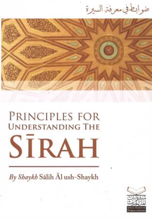 Principles for Understanding Sirah PB