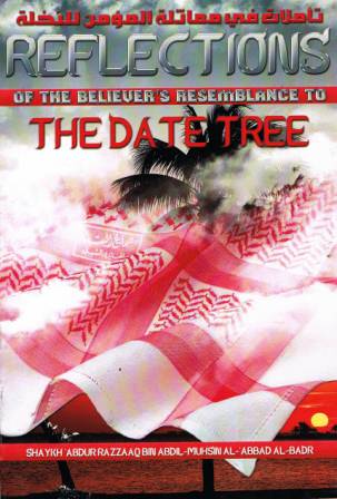 Reflections of the Believer's Resemblance to the Date Tree