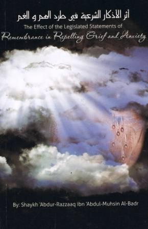 The Effect of the Legislated Statements of Remembrance in Repelling Grief and Anxiety