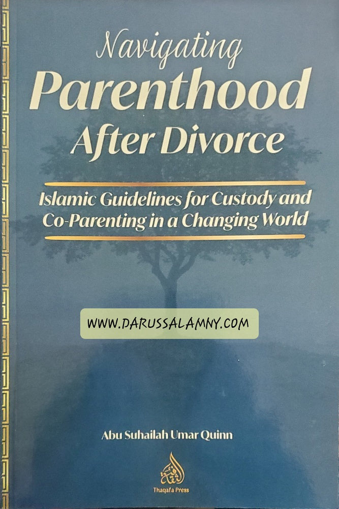 Navigating Parenthood After Divorce