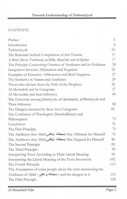 Towards Understanding of Tadmuriyyah