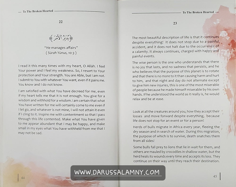 Purification of the Soul Concept, Process and Means